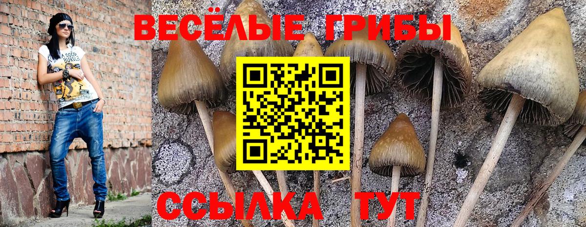 Галлюциногенные грибы GOLDEN TEACHER Магнитогорск