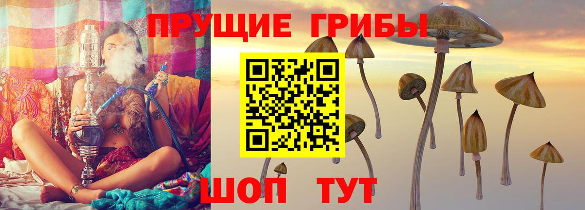 Галлюциногенные грибы мухоморы  Вход с VPN  Галлюциногенные грибы GOLDEN TEACHER  Магнитогорск 